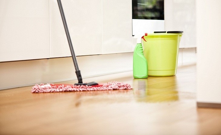 Nhũng cách ngăn chặn côn trùng xâm nhập vào nhà bạn hiệu quả